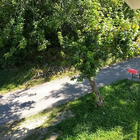 La Misun De Ciafre Bed and Breakfast Casteldelfino
