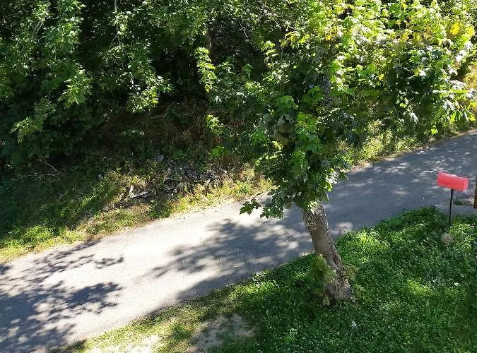 La Misun De Ciafre Bed & Breakfast Casteldelfino